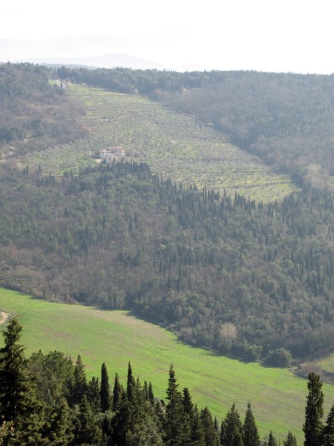 Fiesole - Parco di Montececeri-15.JPG